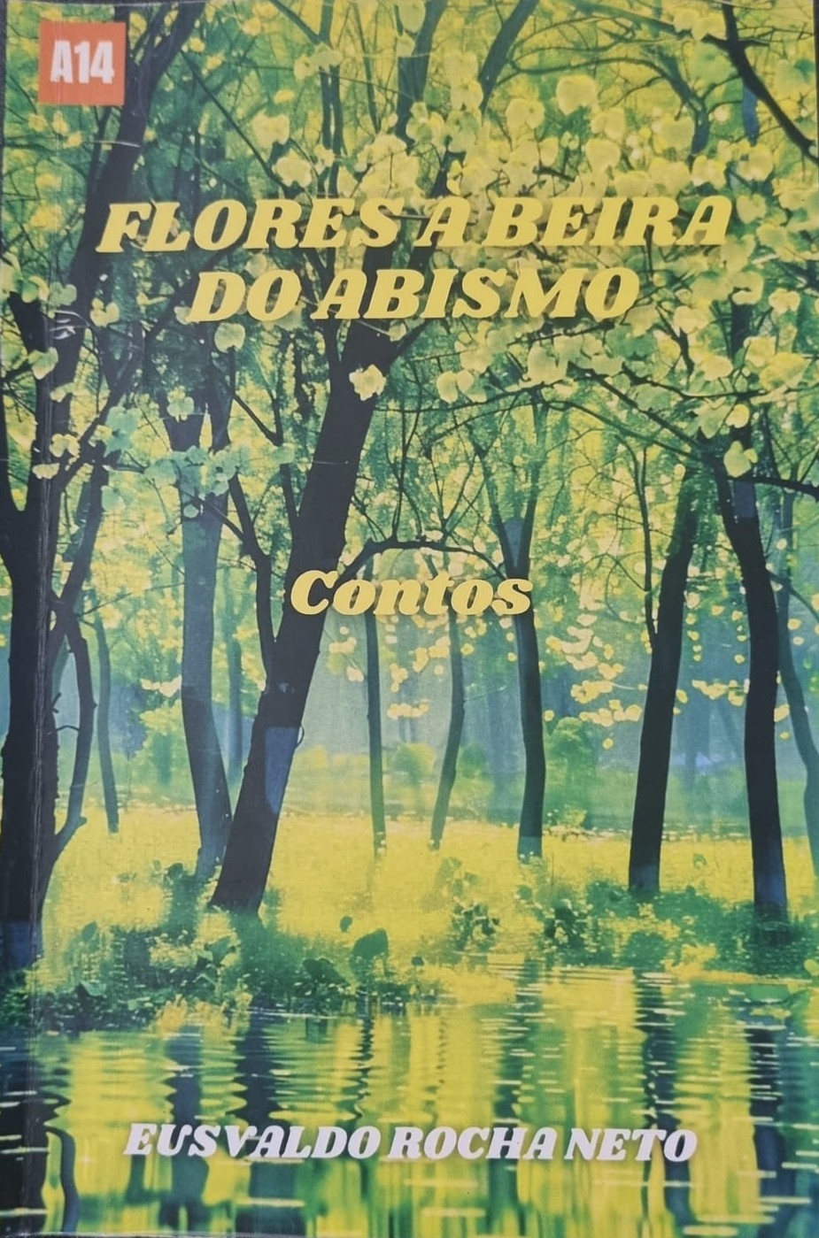 Eusvaldo Rocha Neto Eusvaldo Rocha Neto